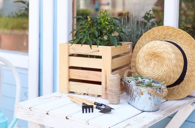 Gardening tools, plants and straw hat on white wooden table outdoors