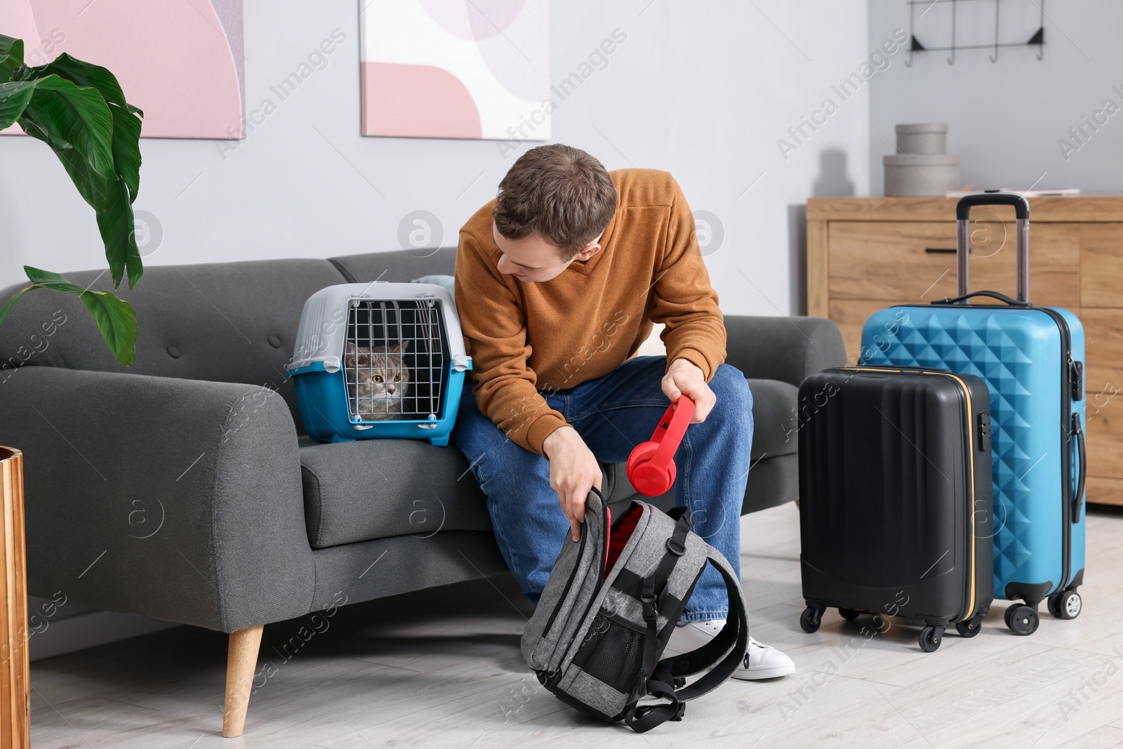 Photo of Travel with pet. Man putting headphones into backpack near carrier with cute cat at home