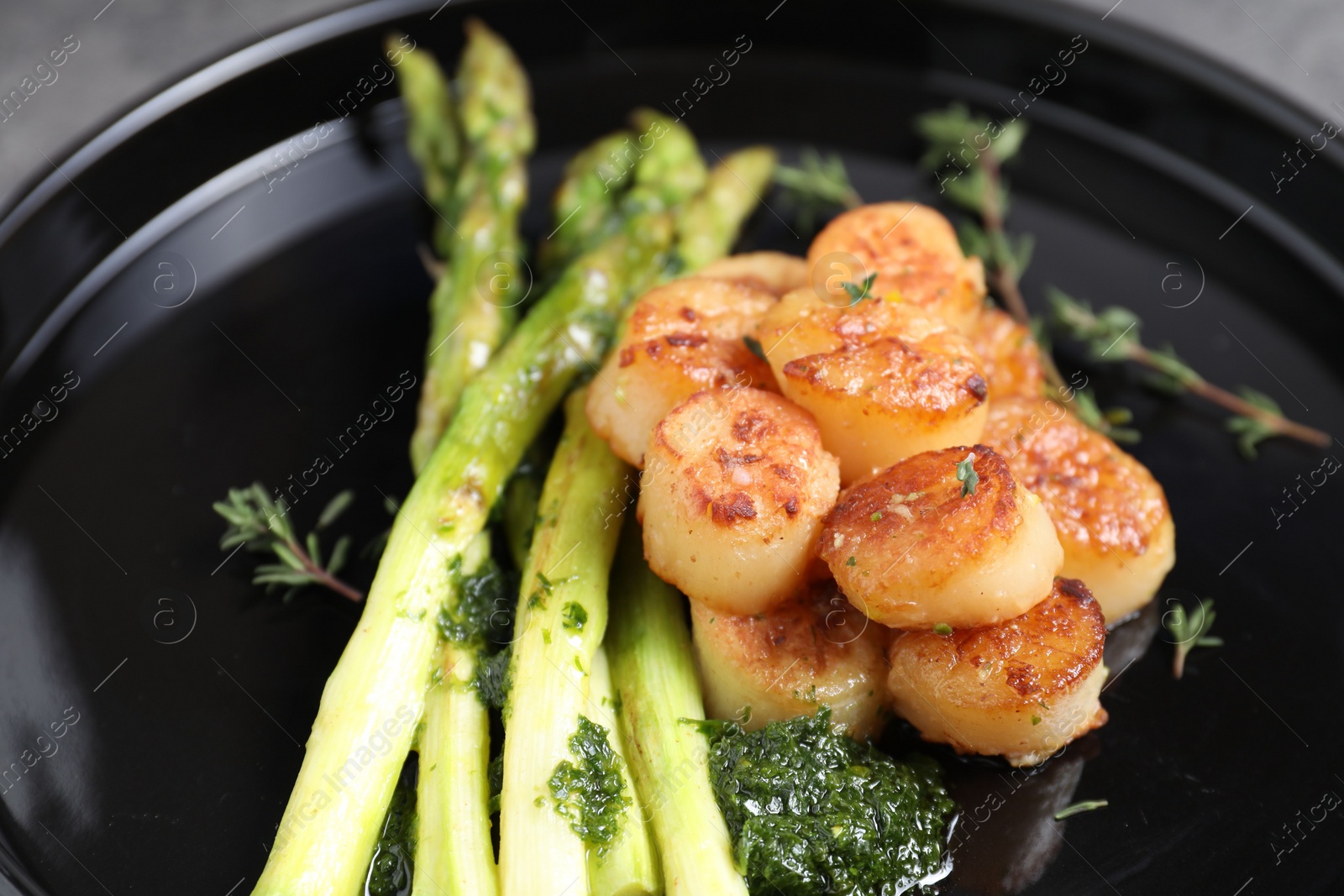 Photo of Delicious fried scallops with asparagus and thyme on plate, closeup