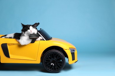 Photo of Adorable cat in toy car on light blue background