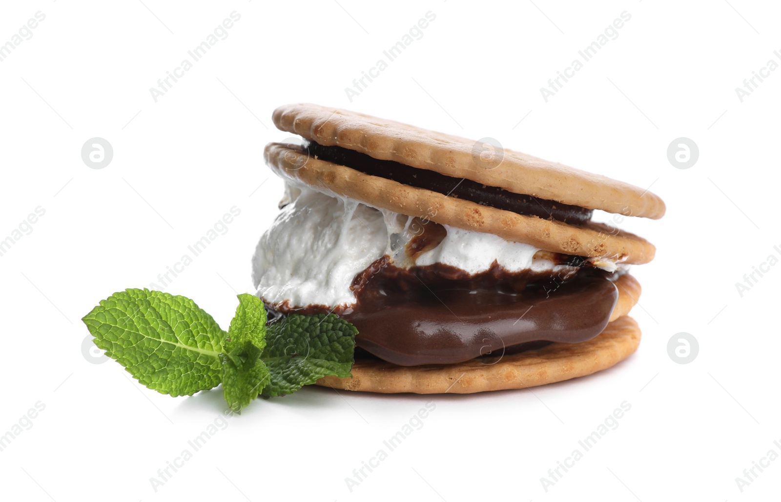 Photo of Delicious marshmallow sandwich with crackers, mint and chocolate isolated on white