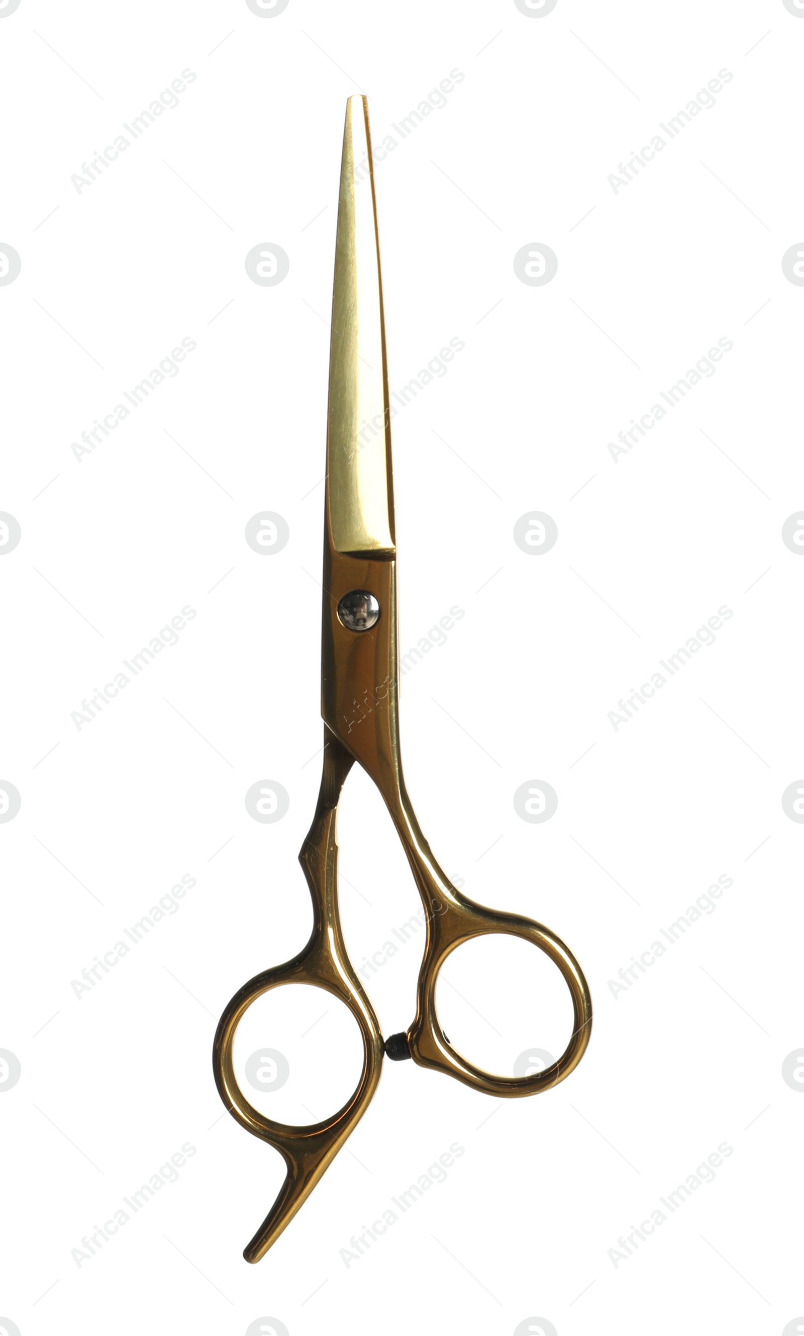 Photo of Professional hairdresser scissors isolated on white. Haircut tool