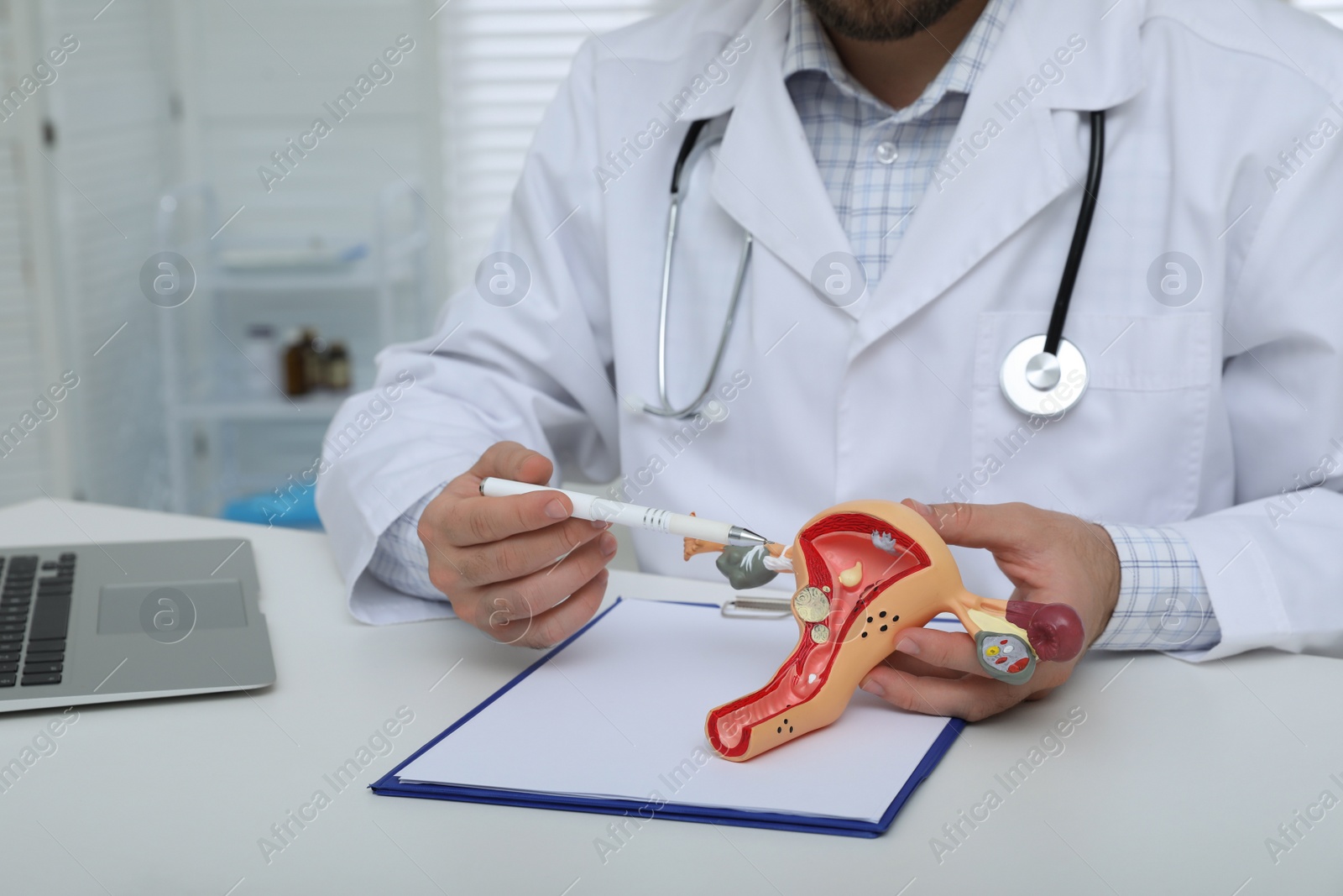 Photo of Gynecologist demonstrating model of female reproductive system in clinic, closeup