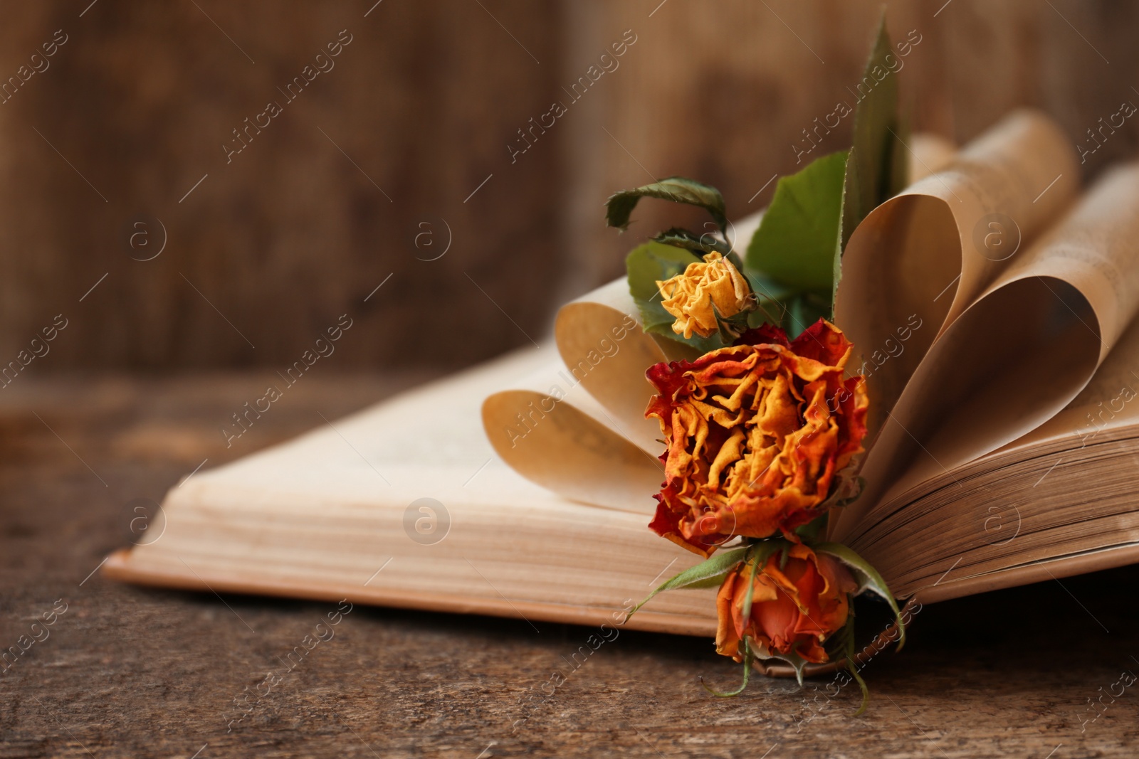 Photo of Open book with folded pages and beautiful dried flowers on wooden table, closeup