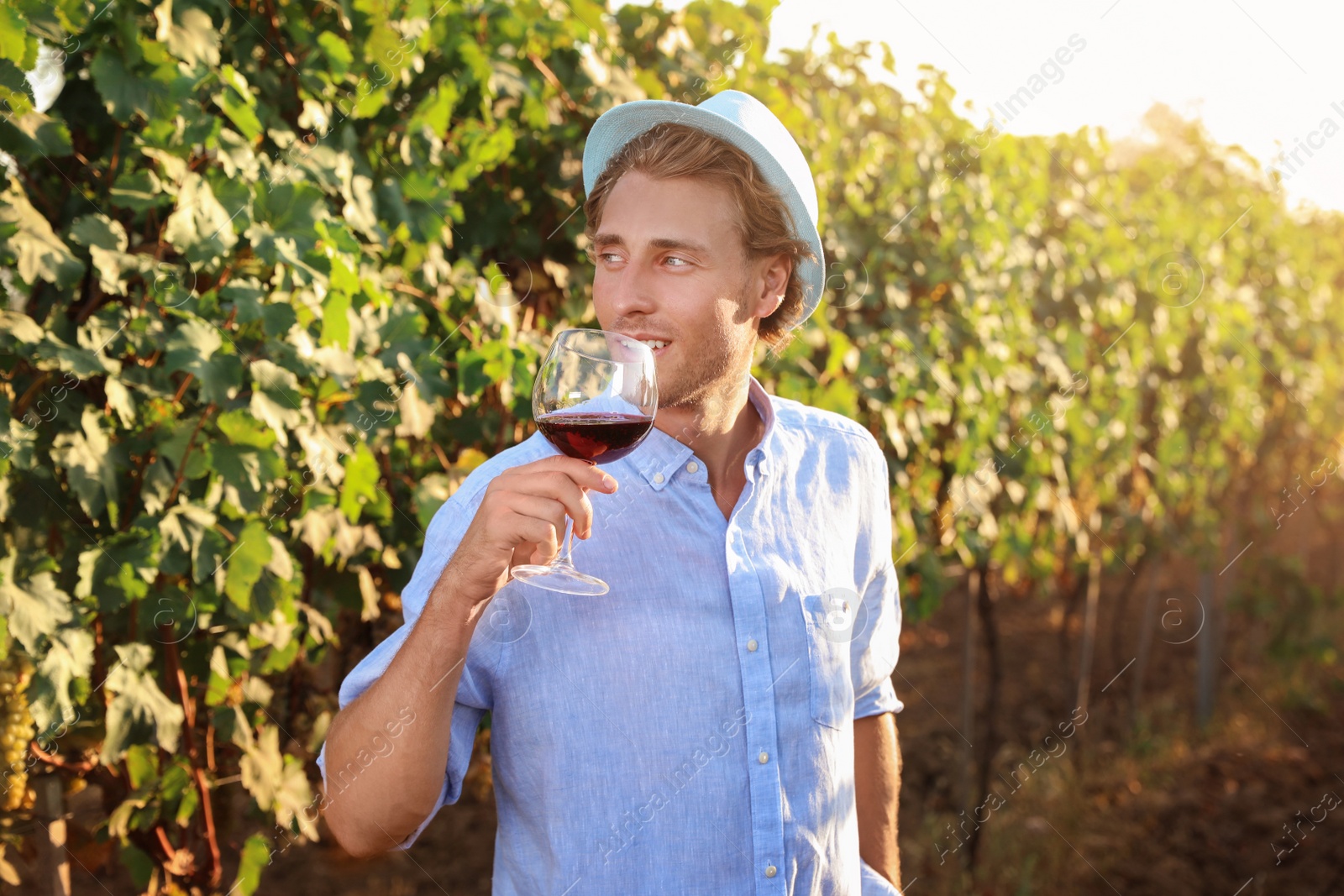 Photo of Young handsome man enjoying wine at vineyard on sunny day