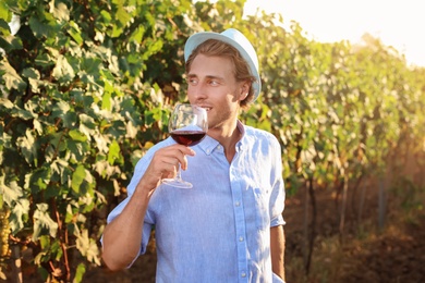 Young handsome man enjoying wine at vineyard on sunny day