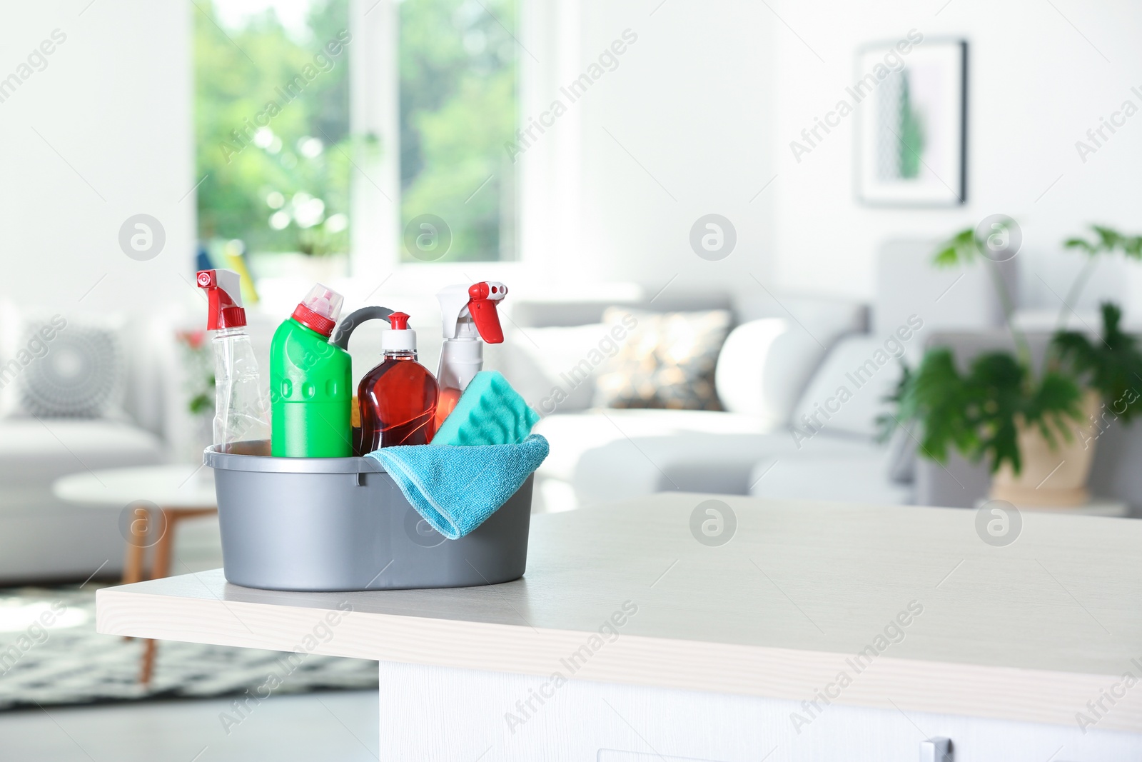 Photo of Basin with cleaning supplies on table indoors