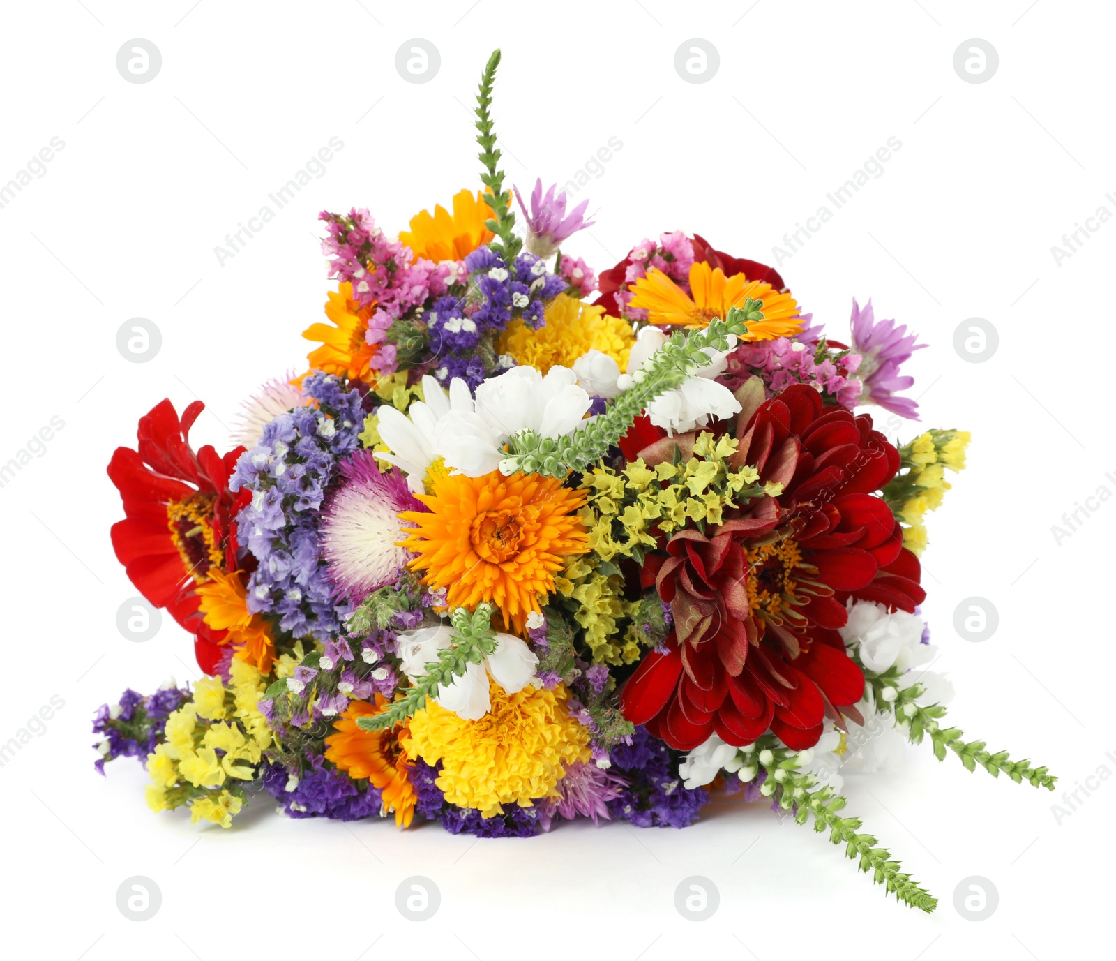 Photo of Bunch of beautiful wild flowers on white background