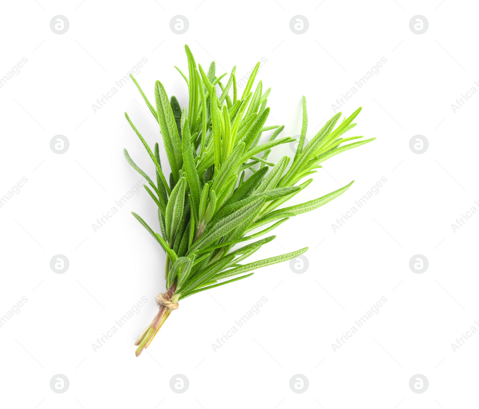 Photo of Bunch of aromatic fresh rosemary leaves on white background, top view