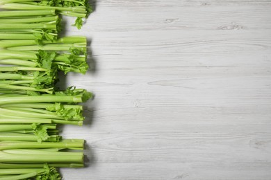 Fresh ripe green celery on white wooden table, flat lay. Space for text