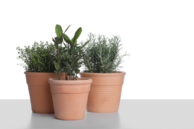 Pots with thyme, bay and rosemary on white background