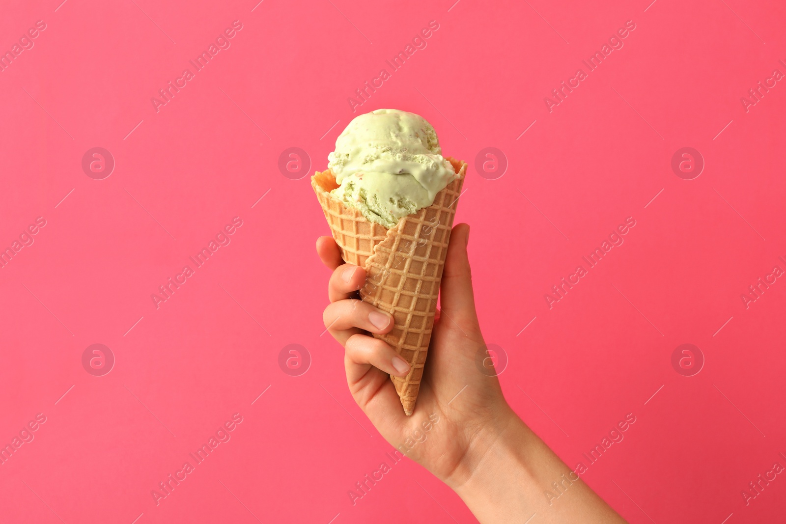 Photo of Woman holding waffle cone with delicious ice cream on pink background, closeup