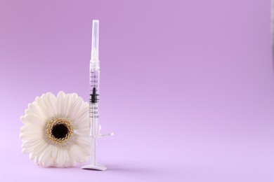 Photo of Cosmetology. Medical syringe and gerbera flower on violet background, space for text