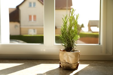 Potted rosemary on windowsill indoors, space for text. Aromatic herb