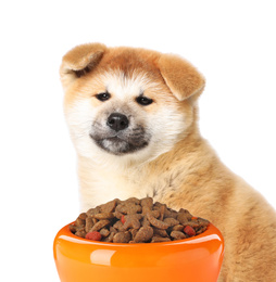 Cute Akita Inu puppy and feeding bowl with dog food on white background