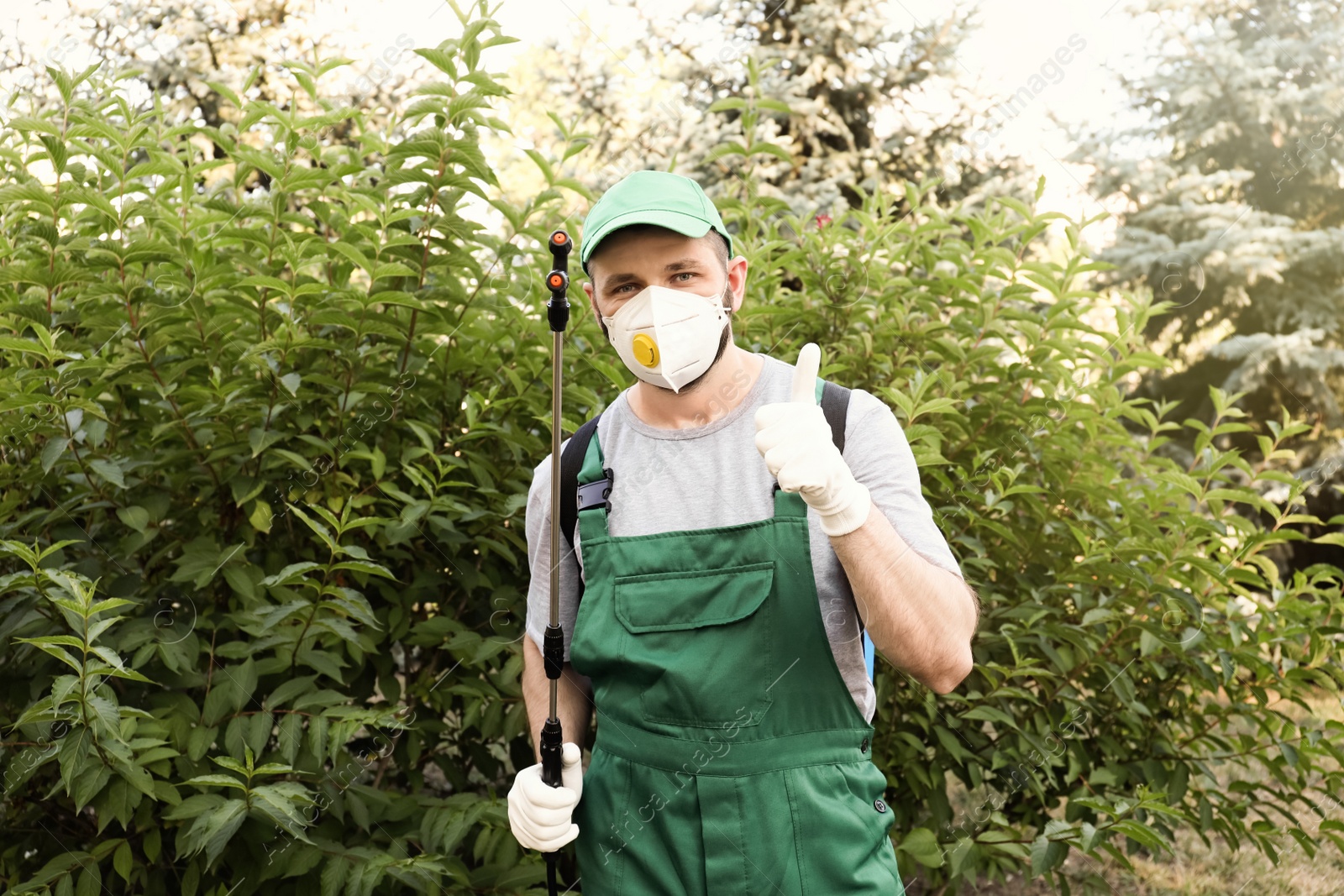 Photo of Worker with insecticide sprayer near green bush outdoors. Pest control