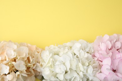 Photo of Beautiful pastel hydrangea flowers on yellow background, top view. Space for text