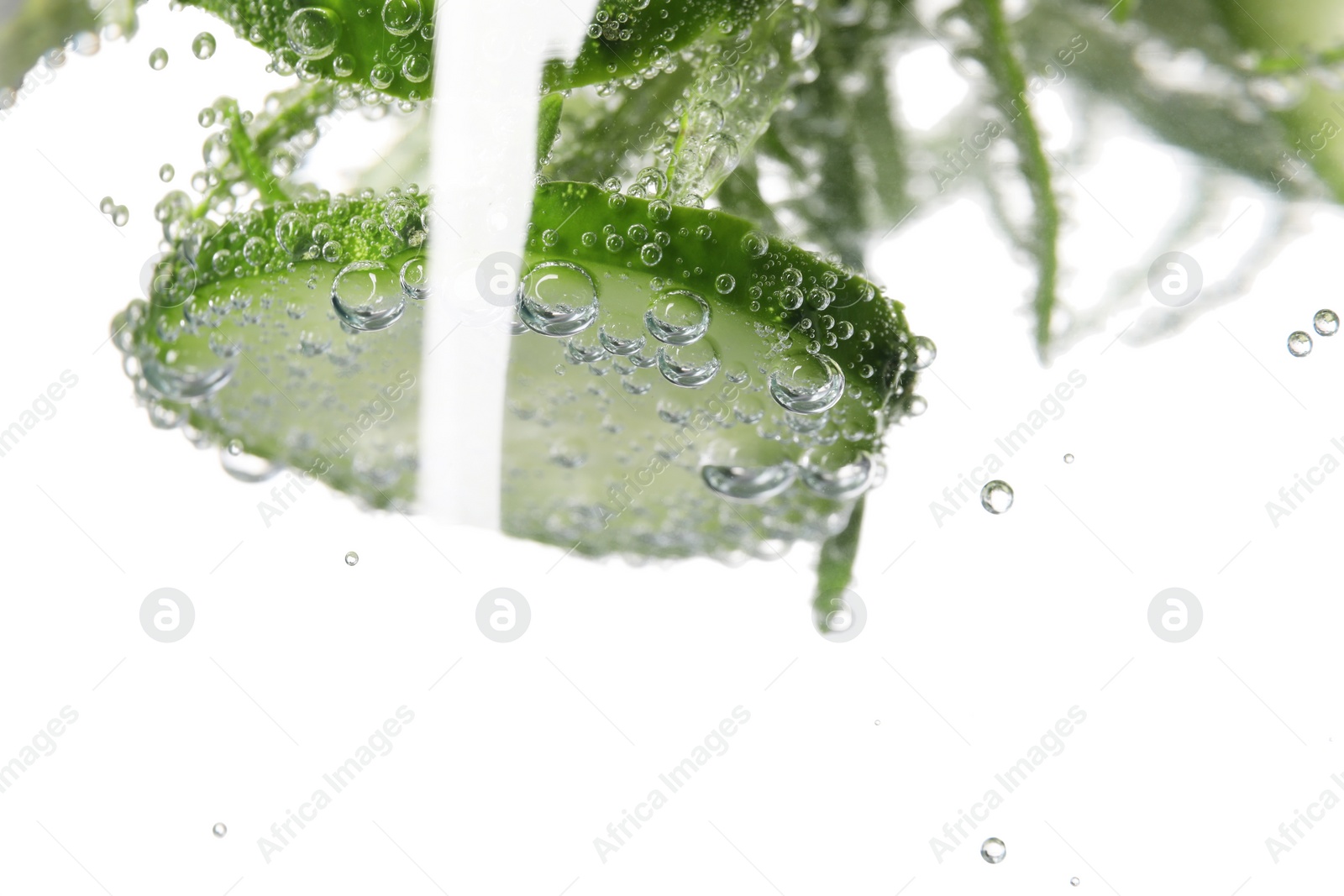 Photo of Refreshing cucumber water with bubbles isolated on white, closeup