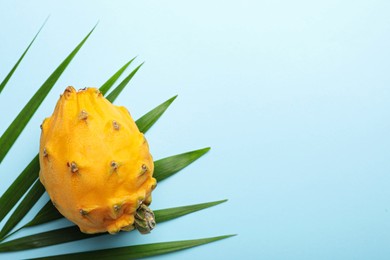 Photo of Delicious yellow pitahaya fruit with palm leaf on turquoise background, flat lay. Space for text