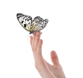 Photo of Woman holding beautiful rice paper butterfly on white background, closeup