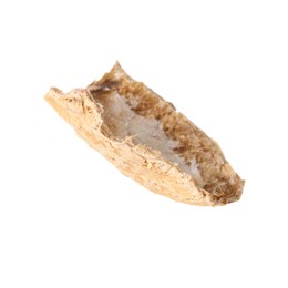 Piece of peanut pod isolated on white