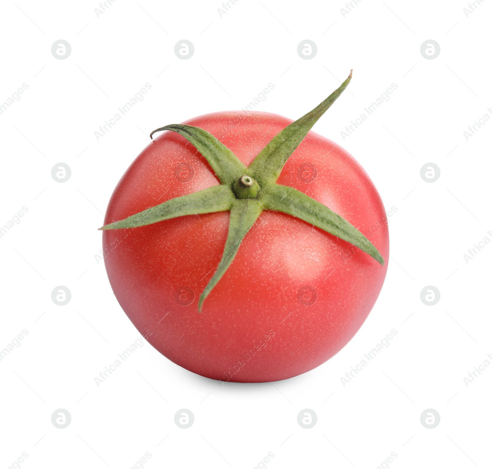 Photo of Whole ripe red tomato isolated on white