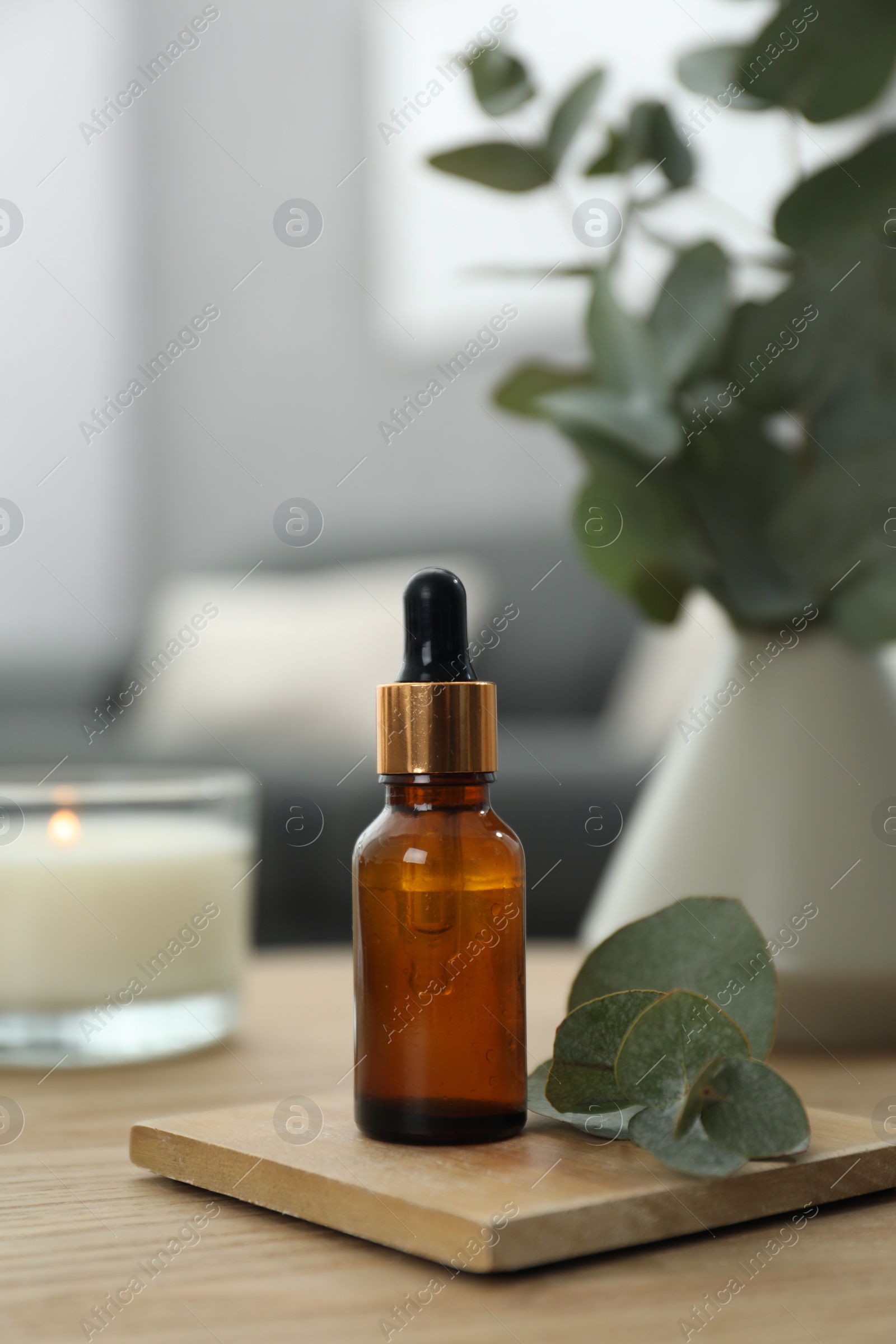 Photo of Aromatherapy. Bottle of essential oil and eucalyptus leaves on wooden table