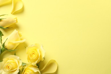 Beautiful roses and petals on yellow background, flat lay. Space for text