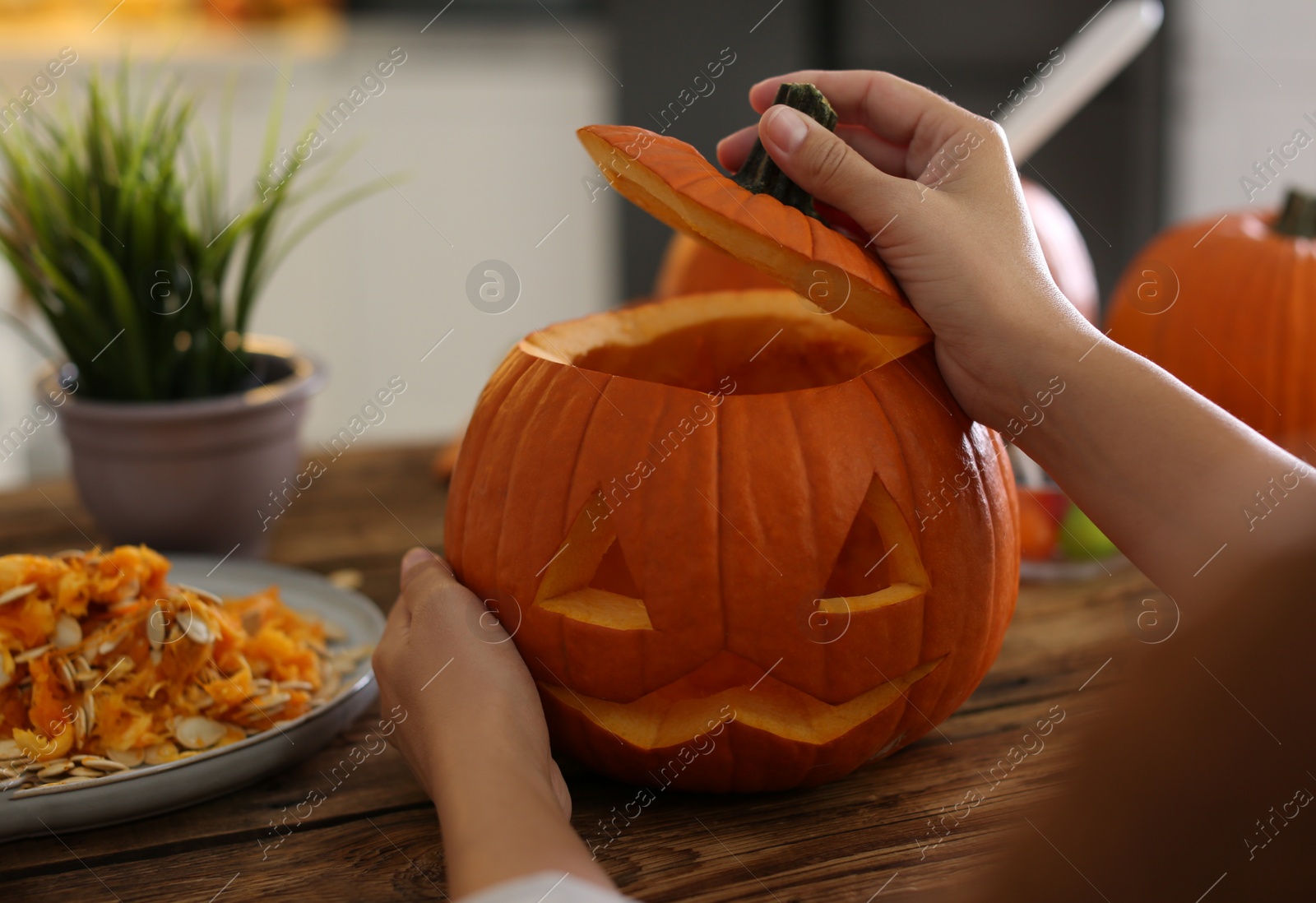 Photo of Woman with pumpkin jack o'lantern at wooden table, closeup. Halloween celebration