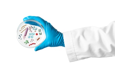 Scientist holding Petri dish with microbes on white background, closeup