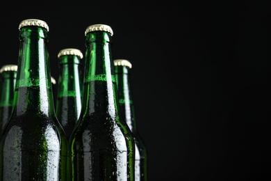 Bottles of beer on black background, closeup. Space for text