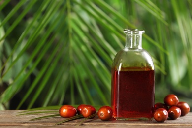 Photo of Palm oil in glass bottle, tropical leaf and fruits on wooden table. Space for text