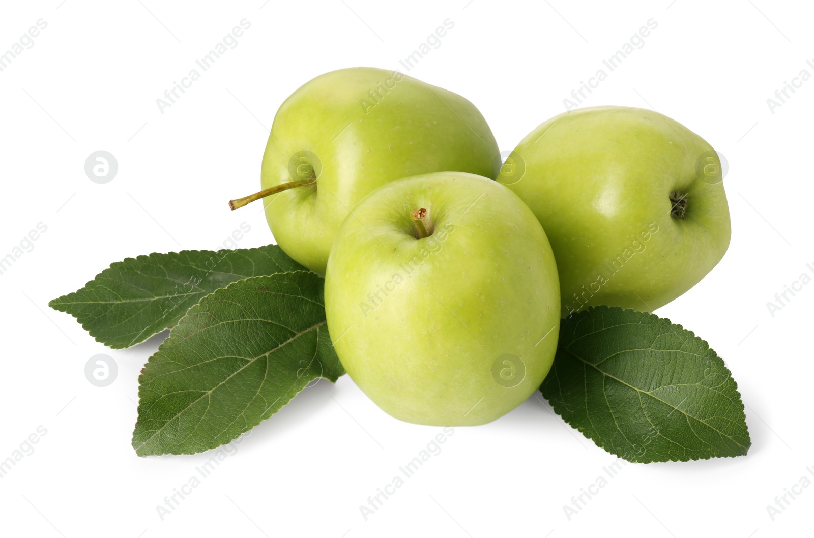 Photo of Ripe green apples and leaves isolated on white