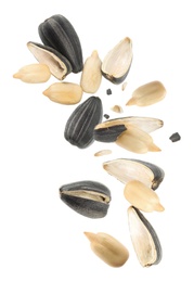 Sunflower seeds with hull flying on white background 
