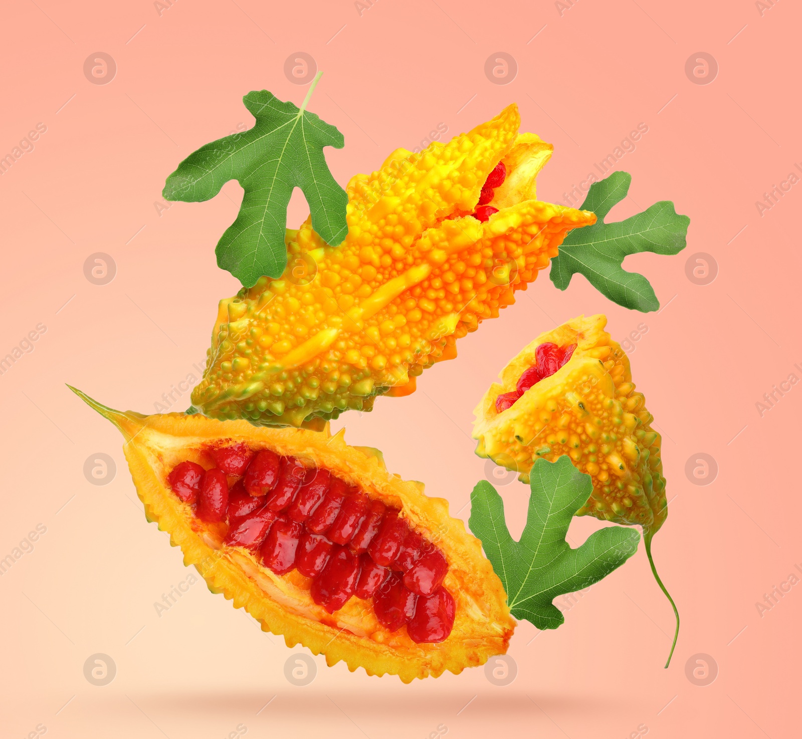 Image of Delicious ripe bitter melons and leaves falling on coral background