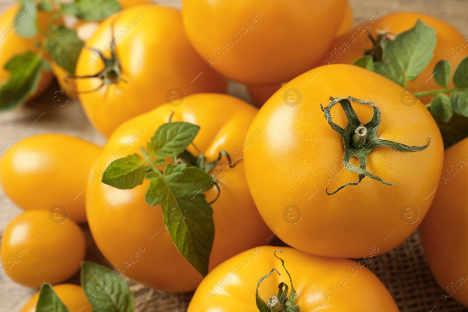 Photo of Fresh ripe yellow tomatoes with leaves on table, closeup