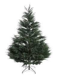 Photo of Beautiful green Christmas tree isolated on white