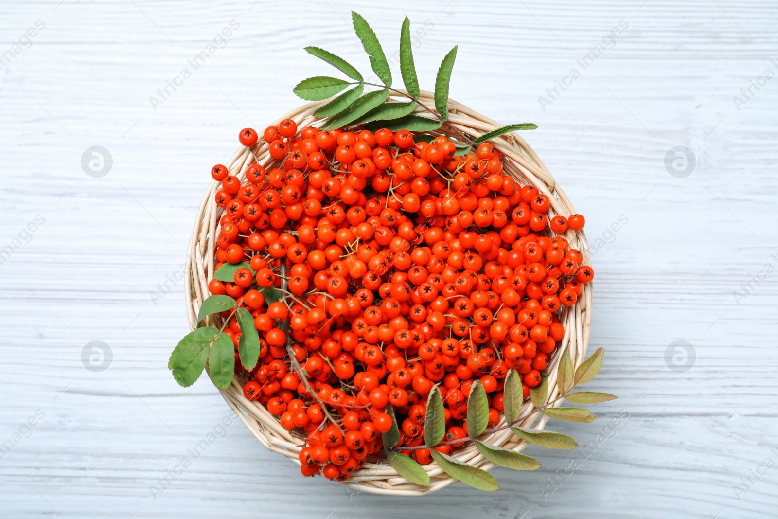 Photo of Fresh ripe rowan berries and leaves in wicker basket on white wooden table, top view