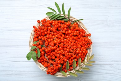 Photo of Fresh ripe rowan berries and leaves in wicker basket on white wooden table, top view