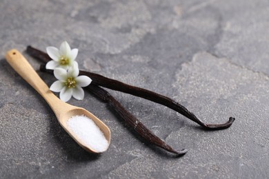 Photo of Spoon with sugar, flowers and vanilla pods on grey textured table, closeup