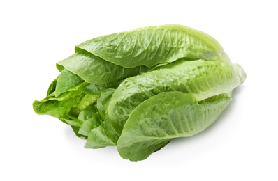 Fresh ripe cos lettuce on white background