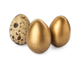 Golden eggs and quail one on white background