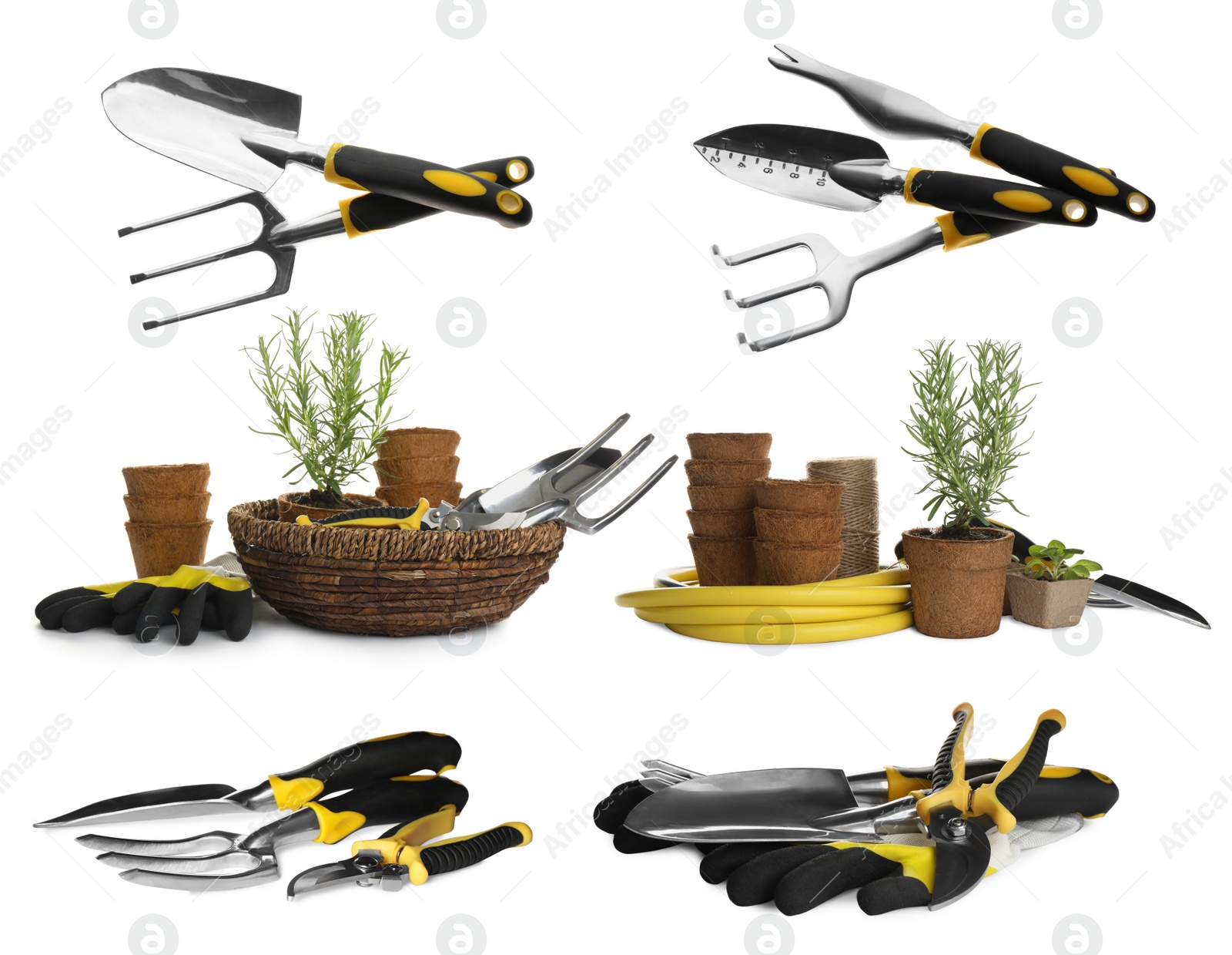 Image of Set of different gardening tools on white background