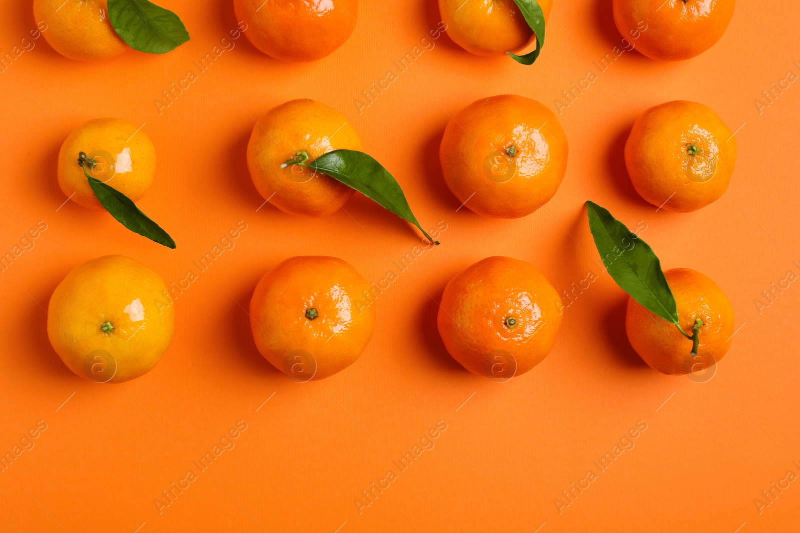 Photo of Delicious tangerines and green leaves on orange background, flat lay. Space for text