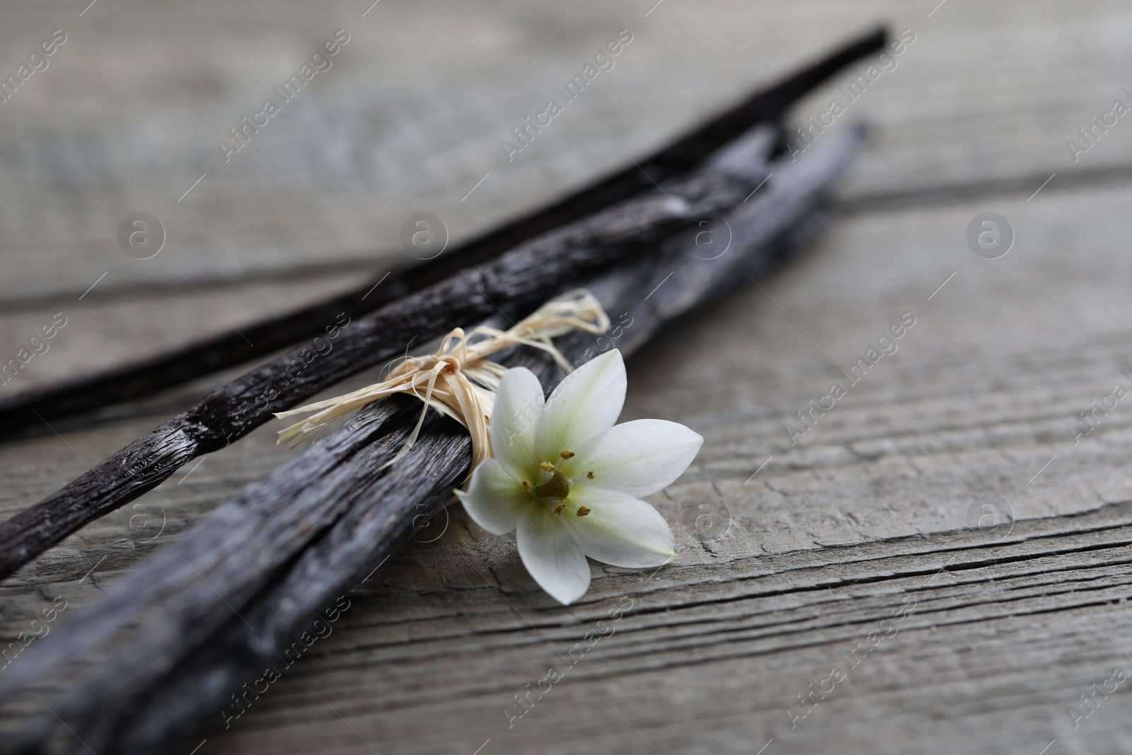 Photo of Vanilla pods and flower on wooden table, closeup. Space for text