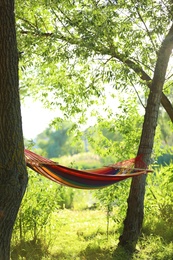 Photo of Empty hammock outdoors on sunny day. Summer camp