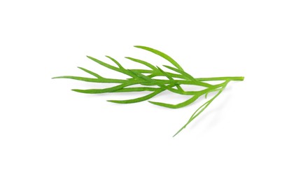 Sprig of fresh dill isolated on white