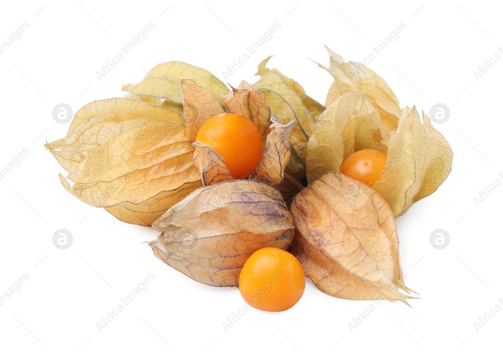 Photo of Many ripe physalis fruits with calyxes isolated on white