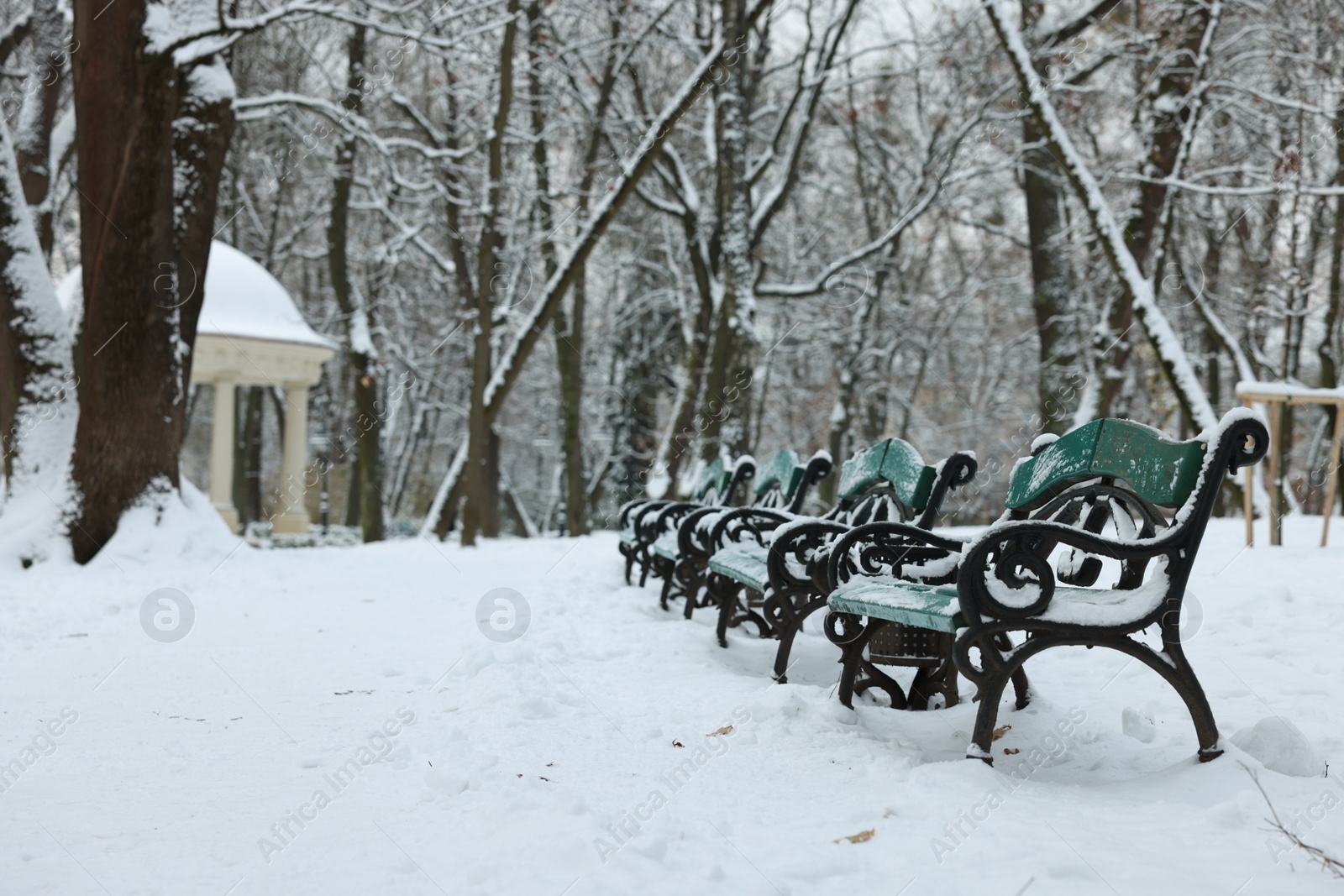 Photo of Green wooden benches and trees in winter park