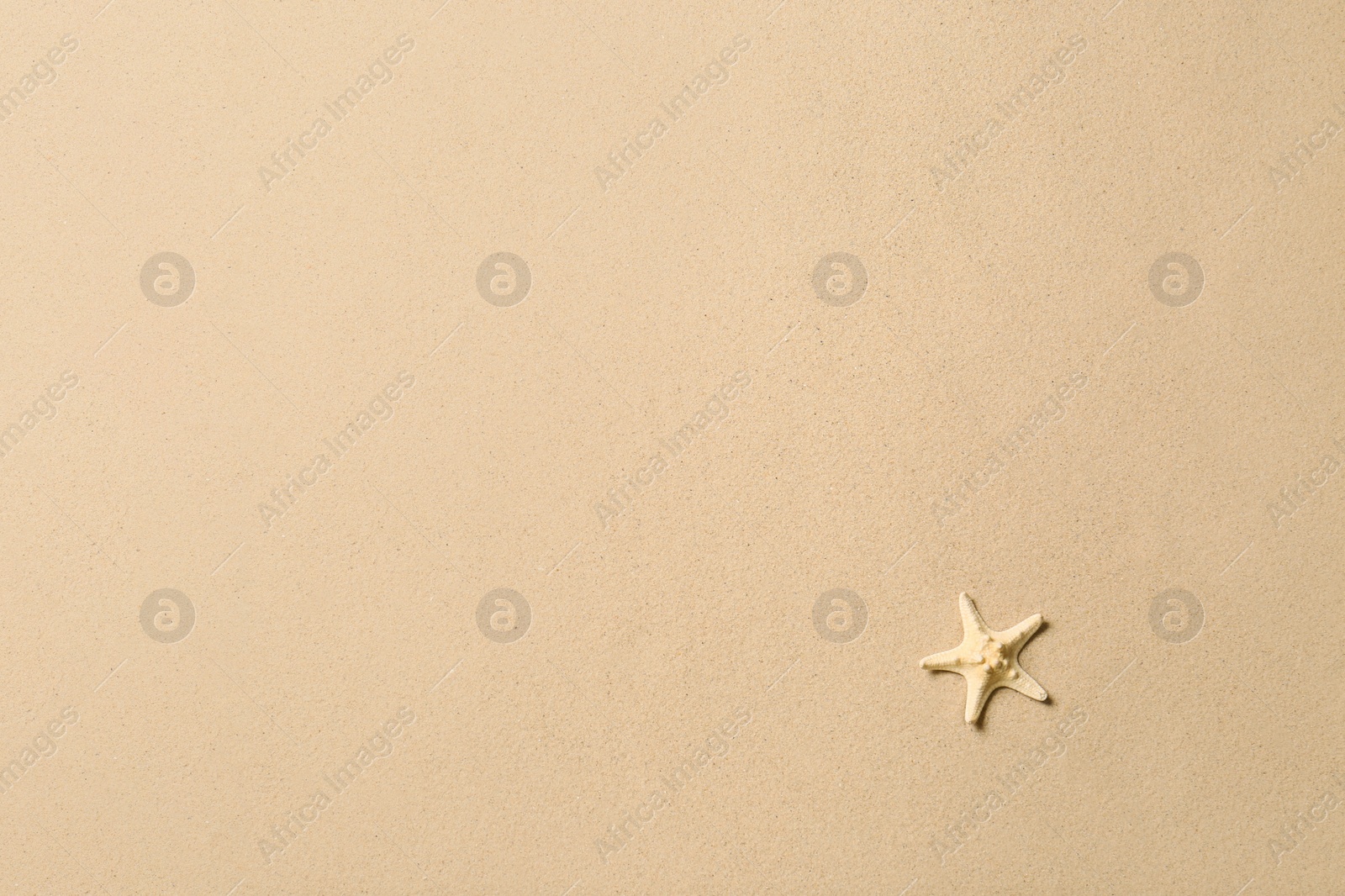 Photo of Beautiful starfish and space for text on beach sand, top view. Summer vacation